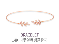 20만원대 사진