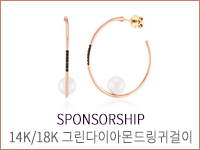 10만원대 사진