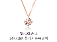10만원대 사진