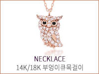 30만원대 사진